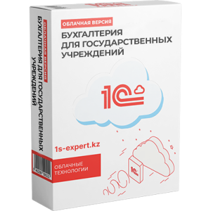 Бухгалтерия для государственных учреждений