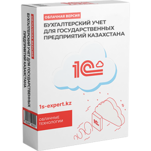 Бухгалтерский учет для государственных предприятий Казахстана
